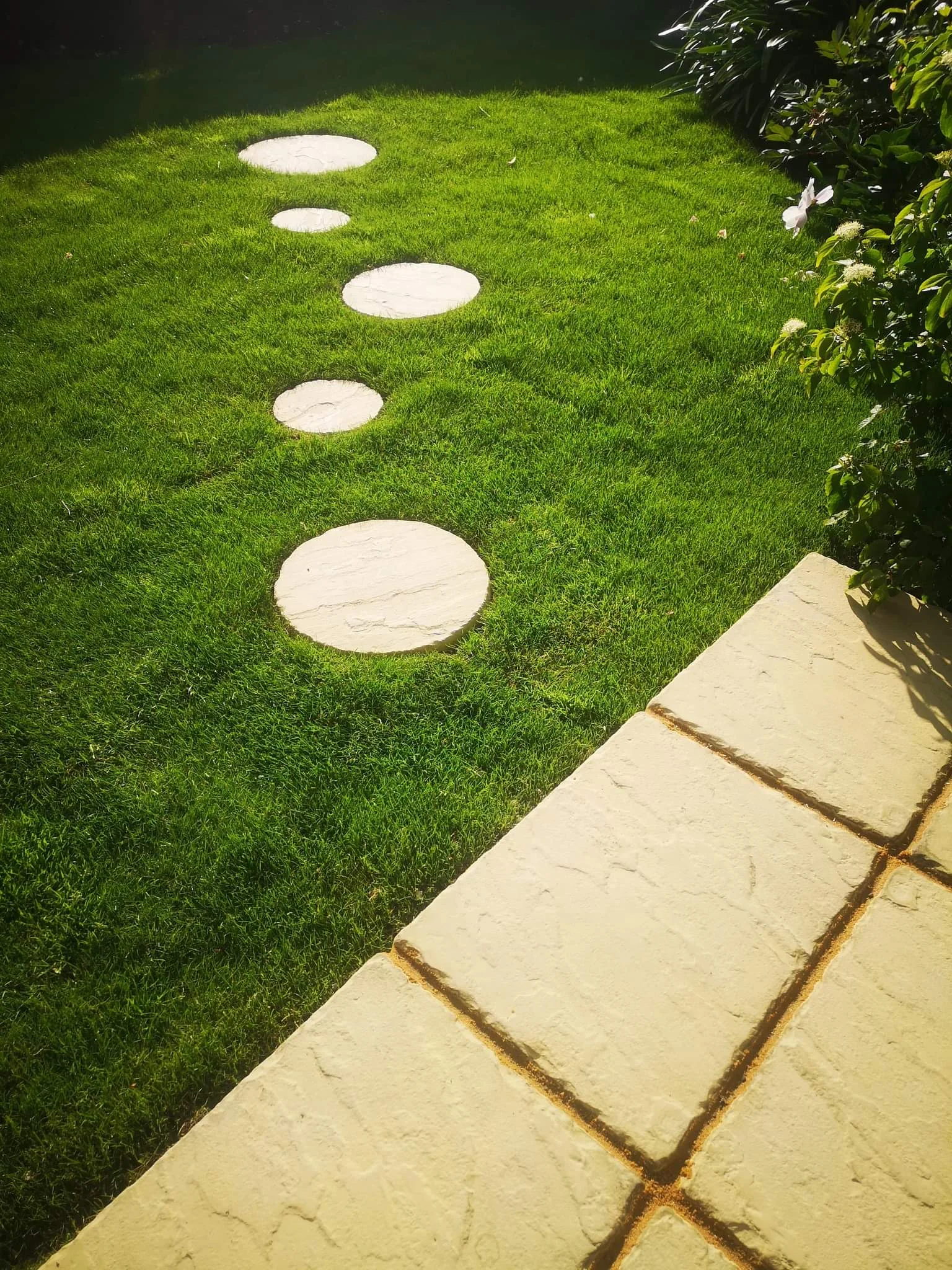 Garden design concept with a winding stone path and layered planting